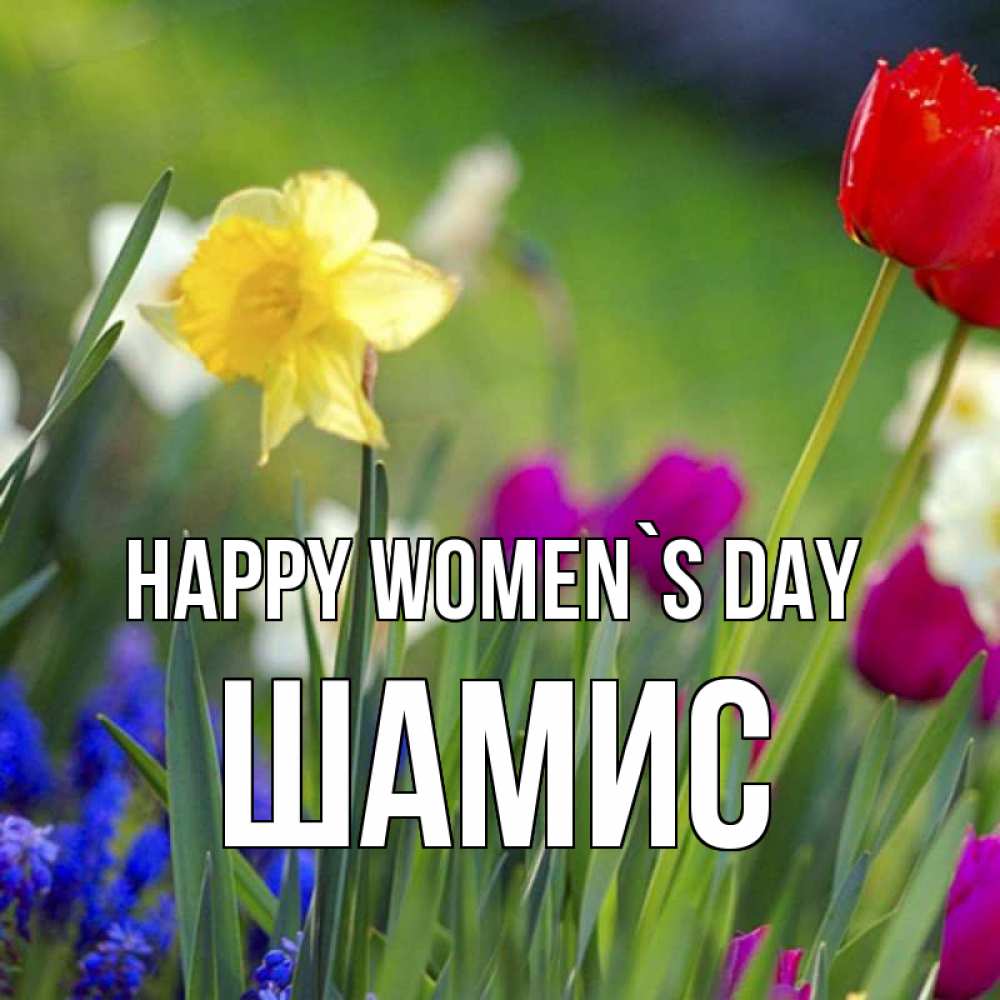 Greetings card с именем, ШАМИС happy women`s day международный женский день 3 Greetings with text for free download 